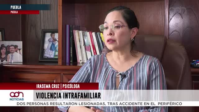 Se manifiesta desde la violencia física hasta patrimonial: Violencia intrafamiliar