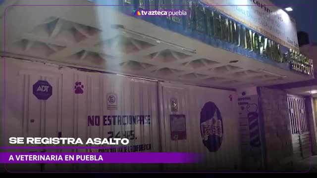 Así fue el asalto a un hospital veterinario en la 24 Sur de 