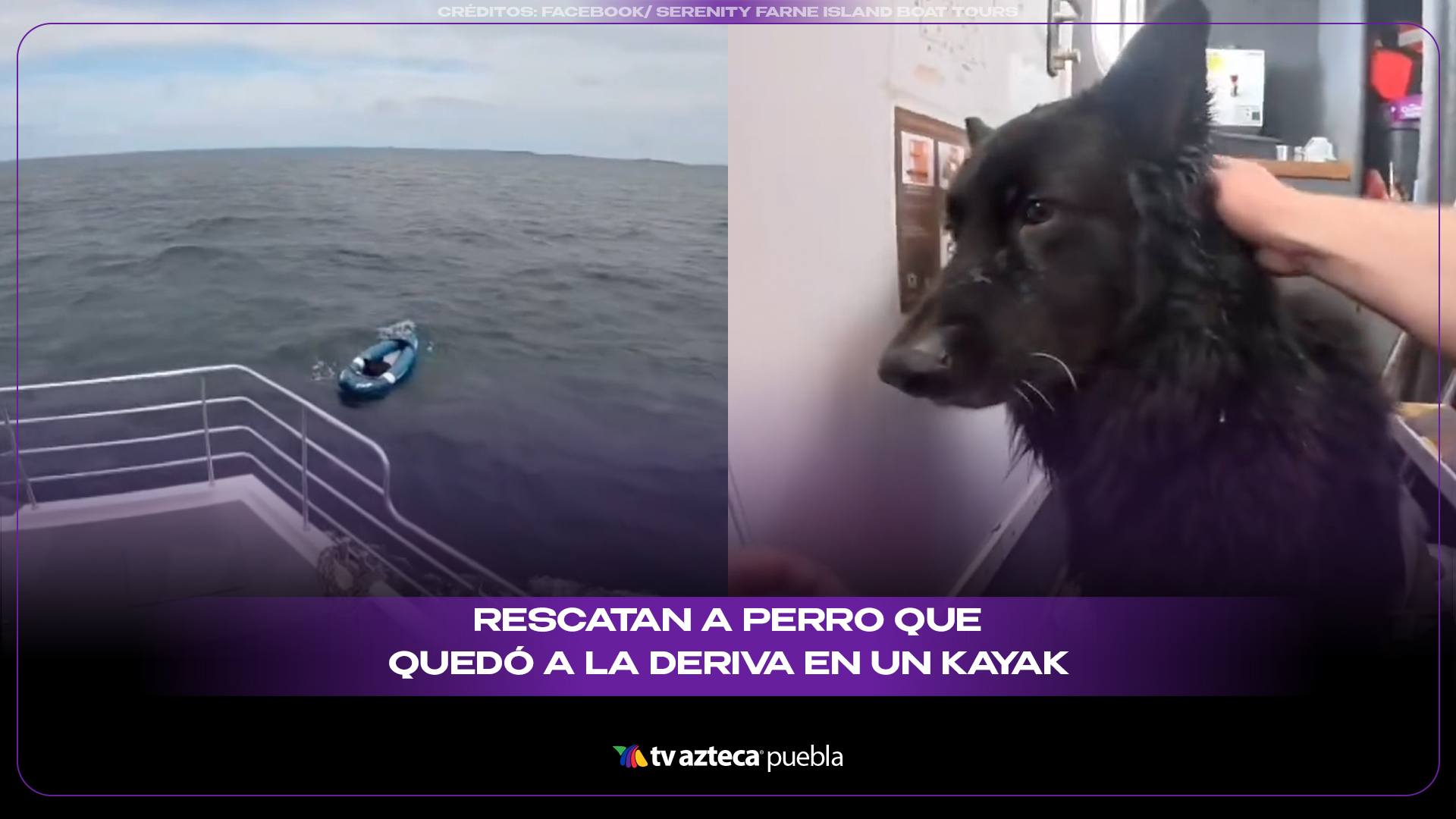 Rescatan a perro que quedó a la deriva en un kayak