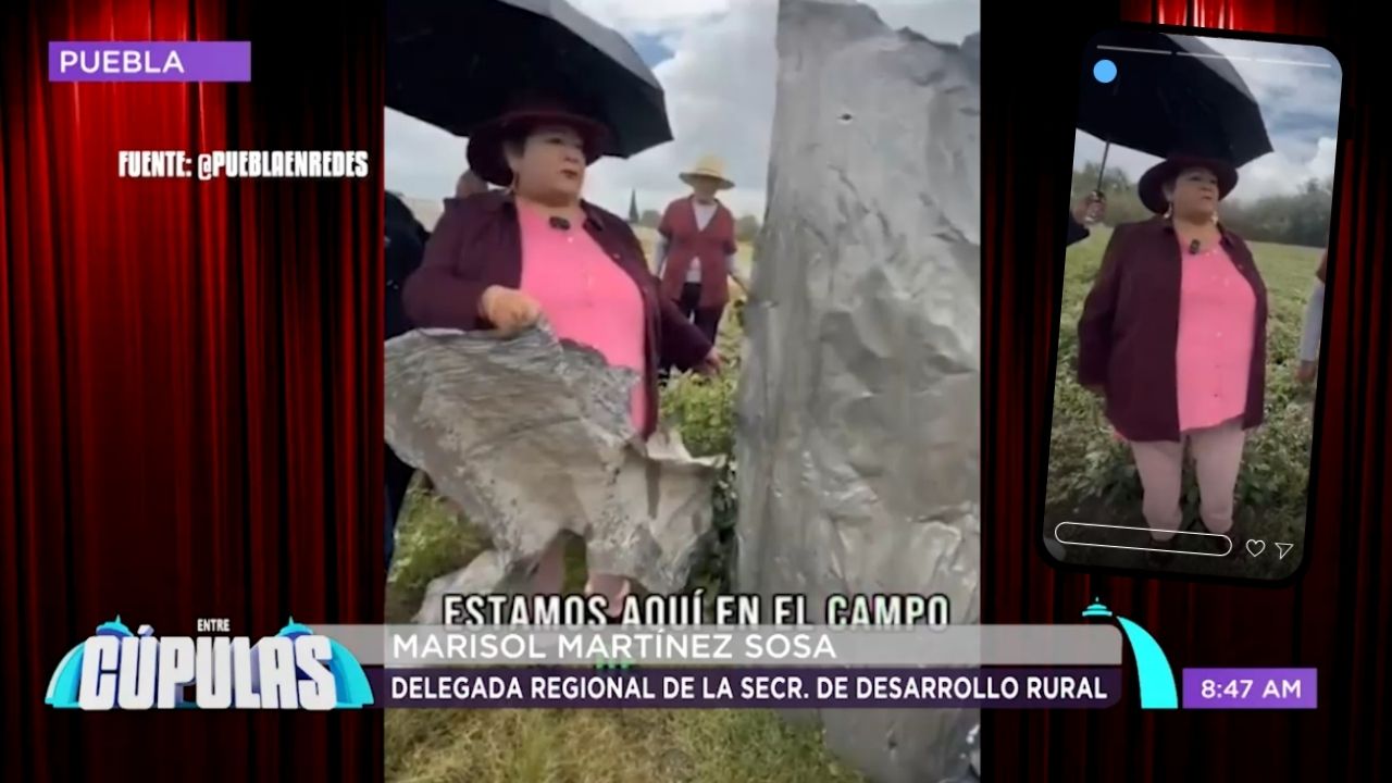 Sátira Cupulosa: Marisol Martínez Sosa, delegada de Desarrol