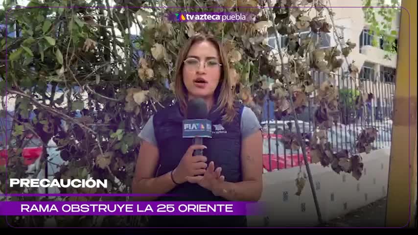 Caída de rama bloquea banqueta en la 25 oriente en Puebla ho