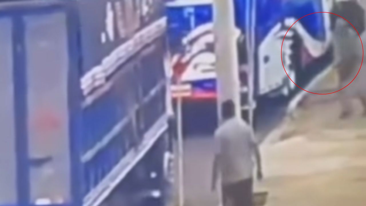 VIDEO FUERTE: ‘Broma’ termina mal y joven muere aplastado en