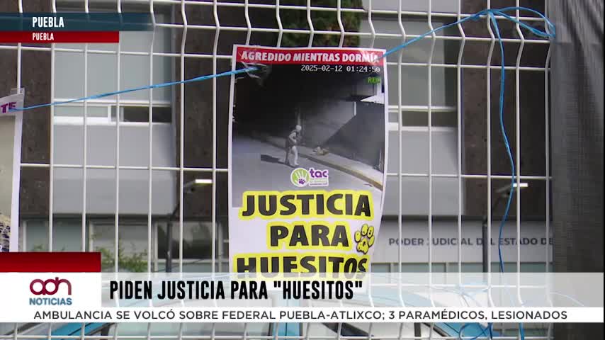 Se cumple un año del caso de huesitos
