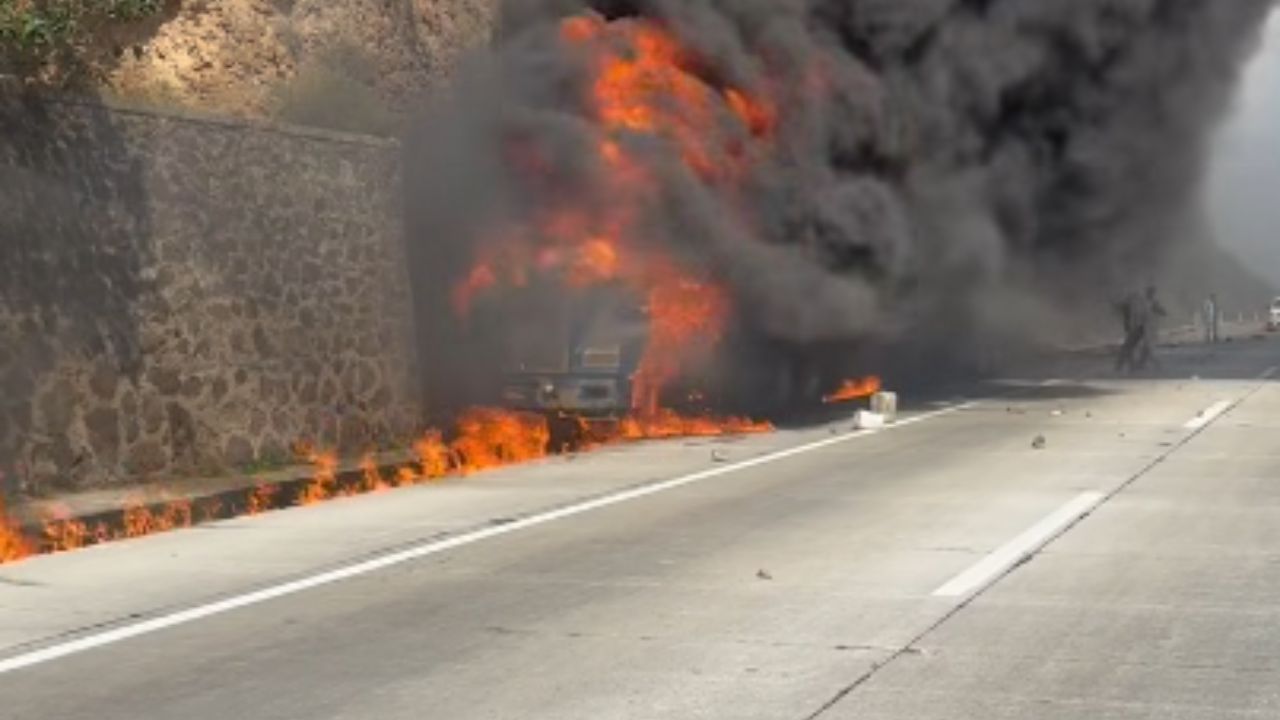 Arde tráiler con todo y ganado en la autopista Arco Norte