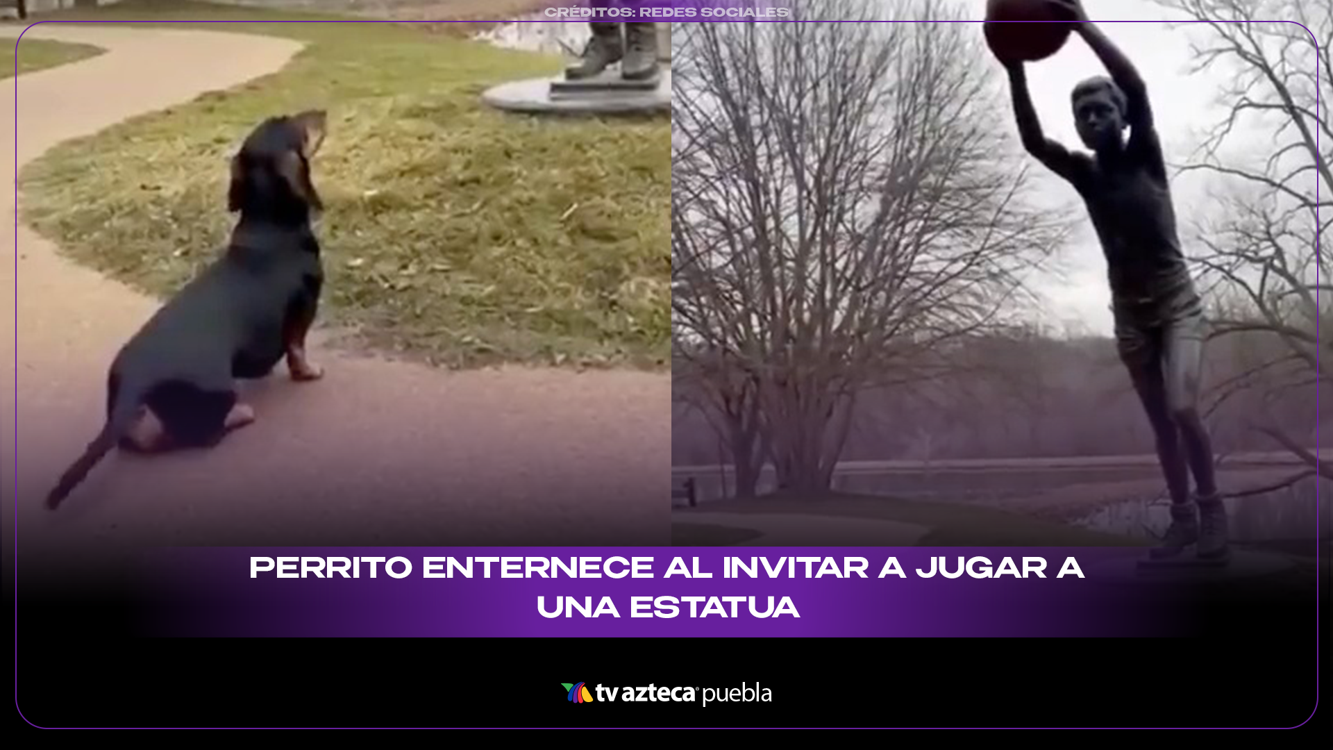 Perrito intenta jugar con una estatua y enternece 