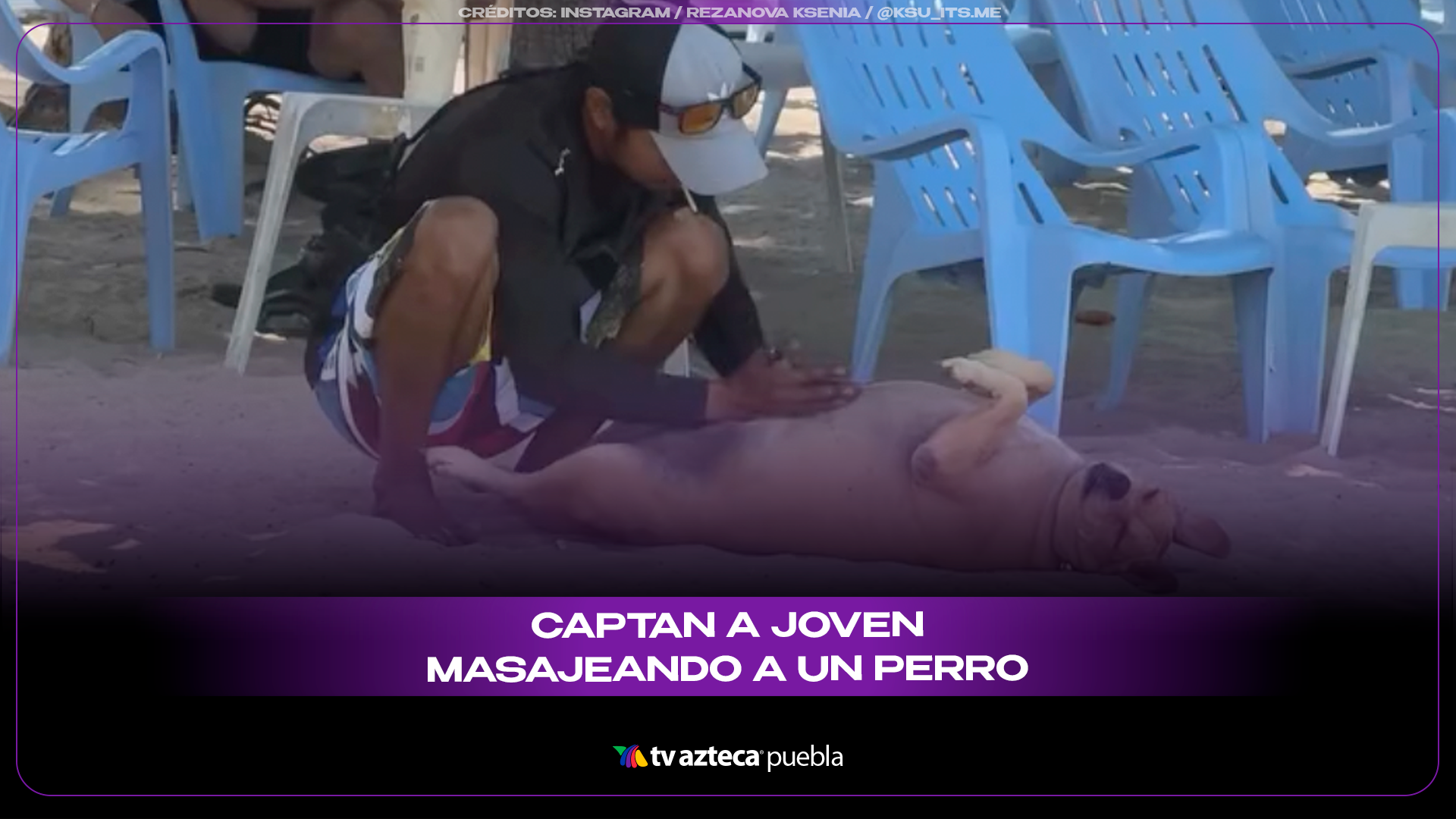 Lomito conquista las redes al relajarse como si estuviera en un spa frente al mar