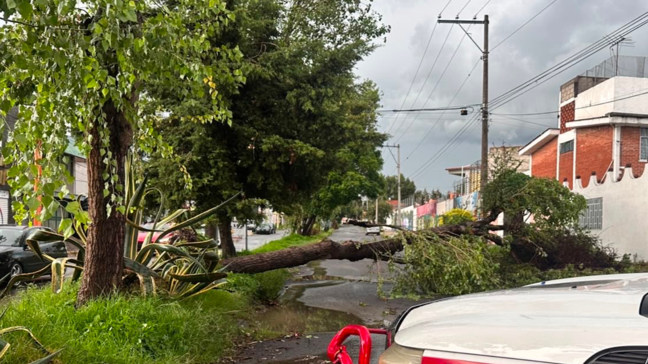Tormenta en Puebla derriba árbol sobre Boulevard México, en 