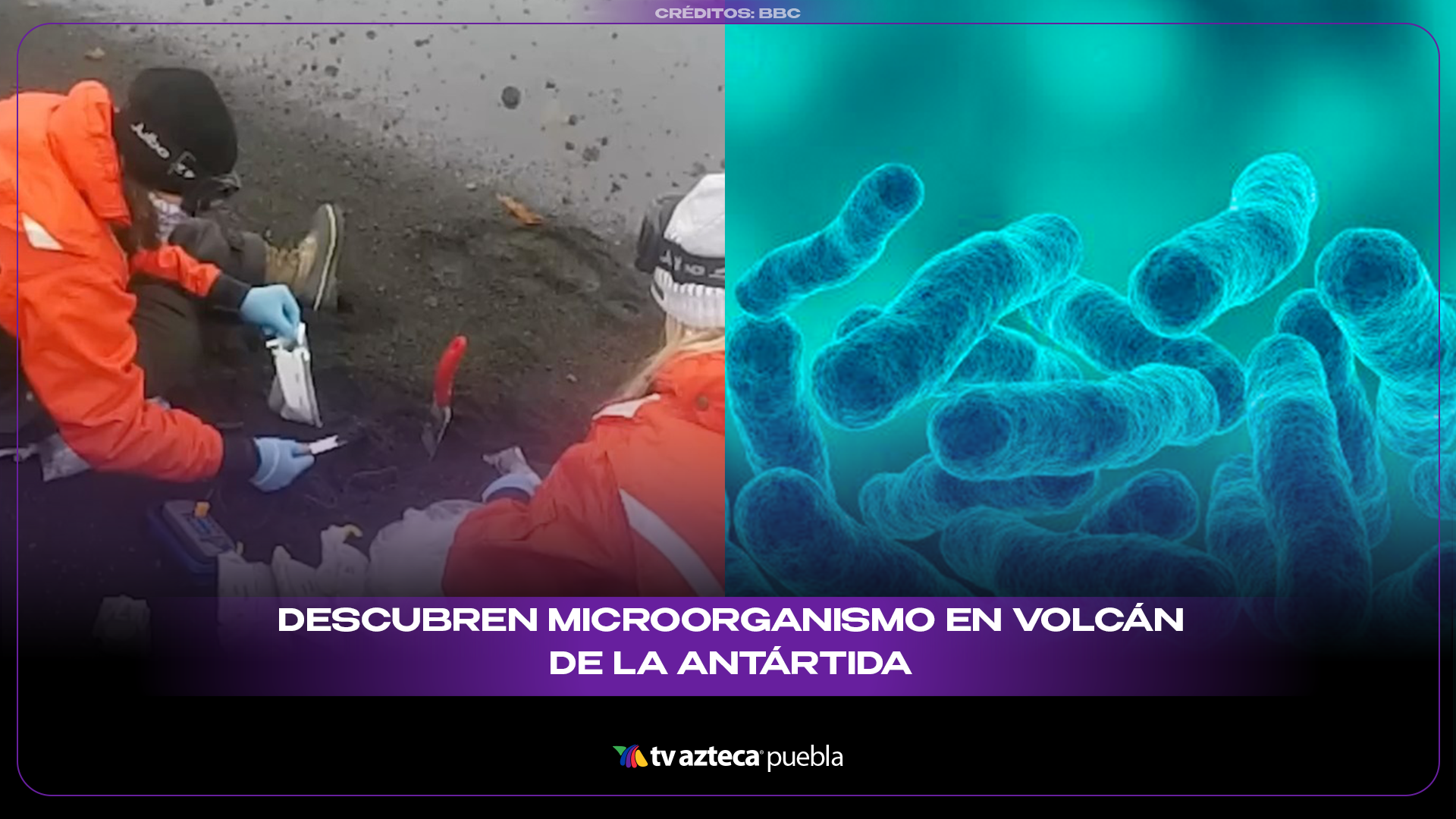 Hallazgo en la Antártida abre nuevas pistas sobre 