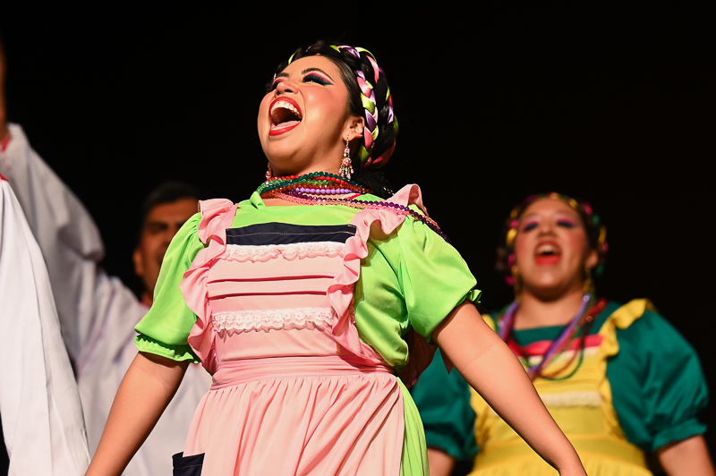 Danza Folklórica/danza_folklorica_018.jpg