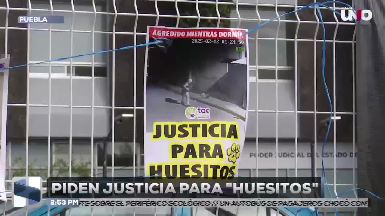 Siguen buscando justicia para huesitos