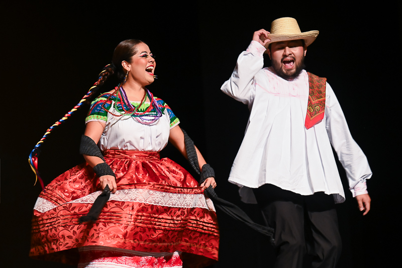 Danza Folklórica/danza_folklorica_076.jpg