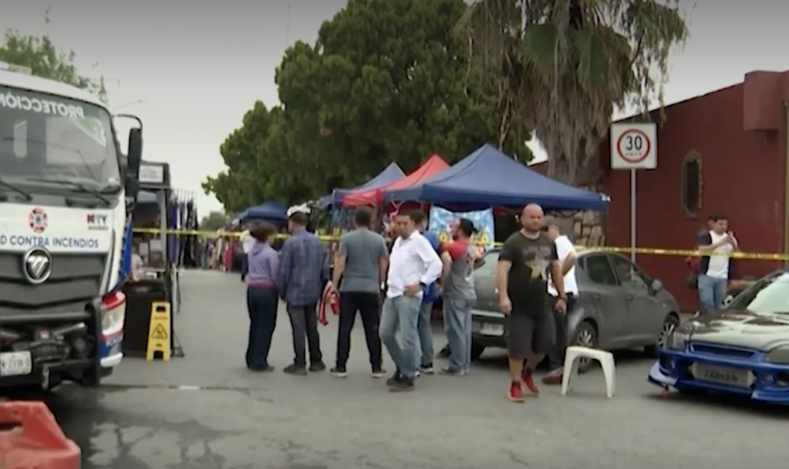 Ataque de abejas en Monterrey deja 8 personas y 3 perros heridos