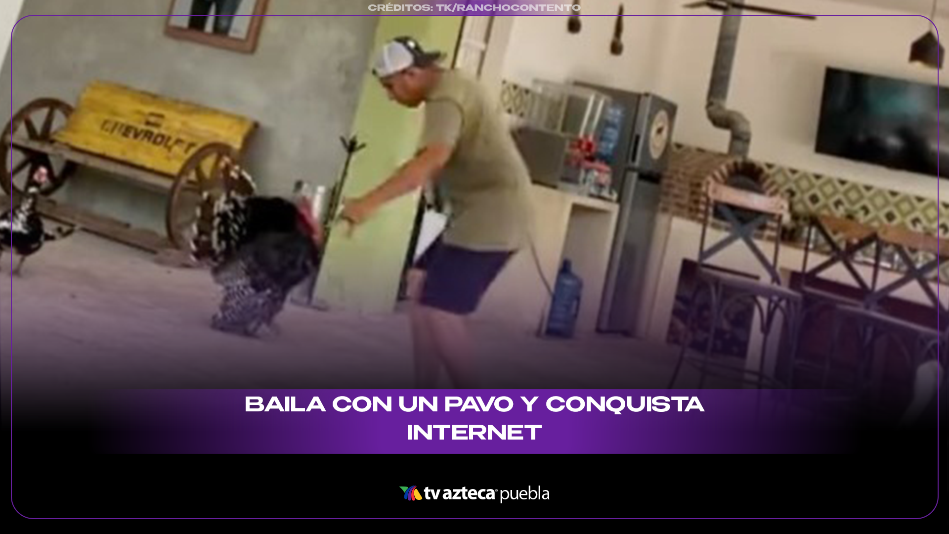 Pavo y su dueño protagonizan baile viral que conquista las redes