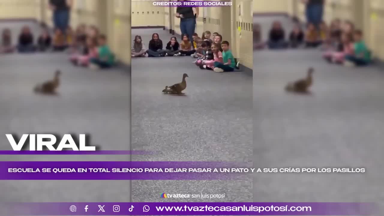 Pato Bailarín Y Cantarín Para Niños – Juguete Educativo Con Luces Y Movimiento – Entrena La Coordinación Y La Motricidad – Para Bebés De 6 A 18 Meses – ABS – Pilas AA