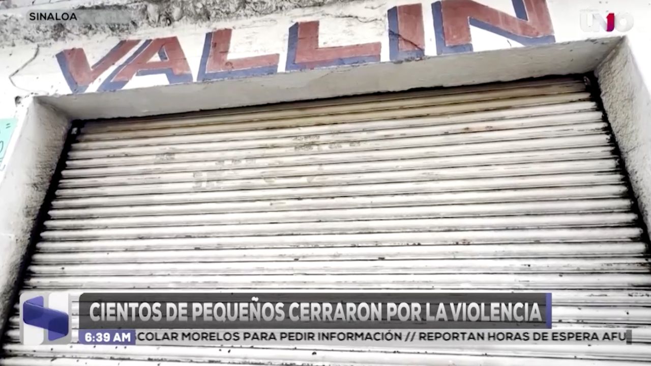 Cientos de pequeños negocios cerraron por la inseg