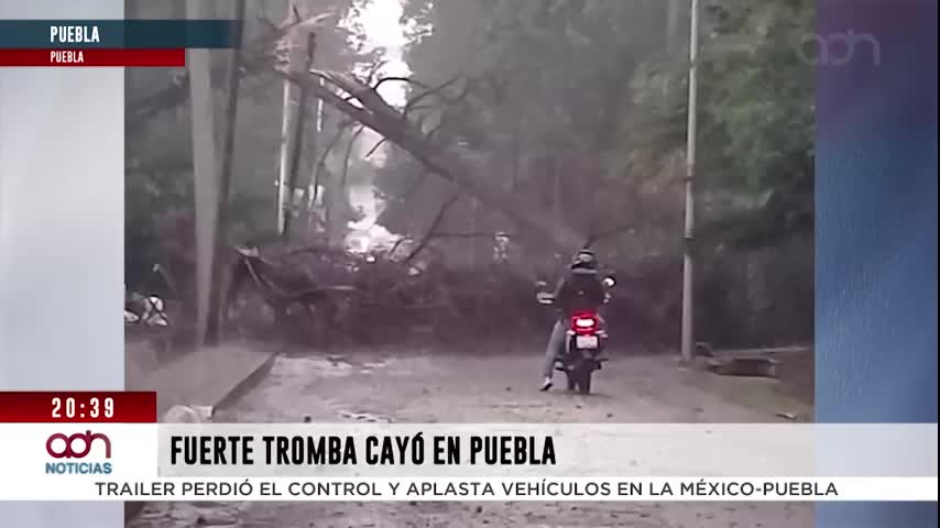 Tromba en Puebla provoca caída de árbol e inundaciones en la autopista México–Puebla