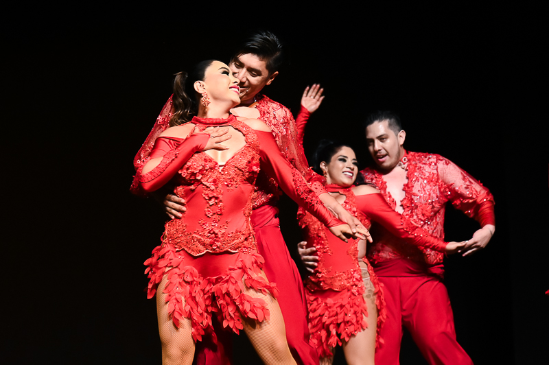 Baile de salon/baile_de_salon_029.jpg