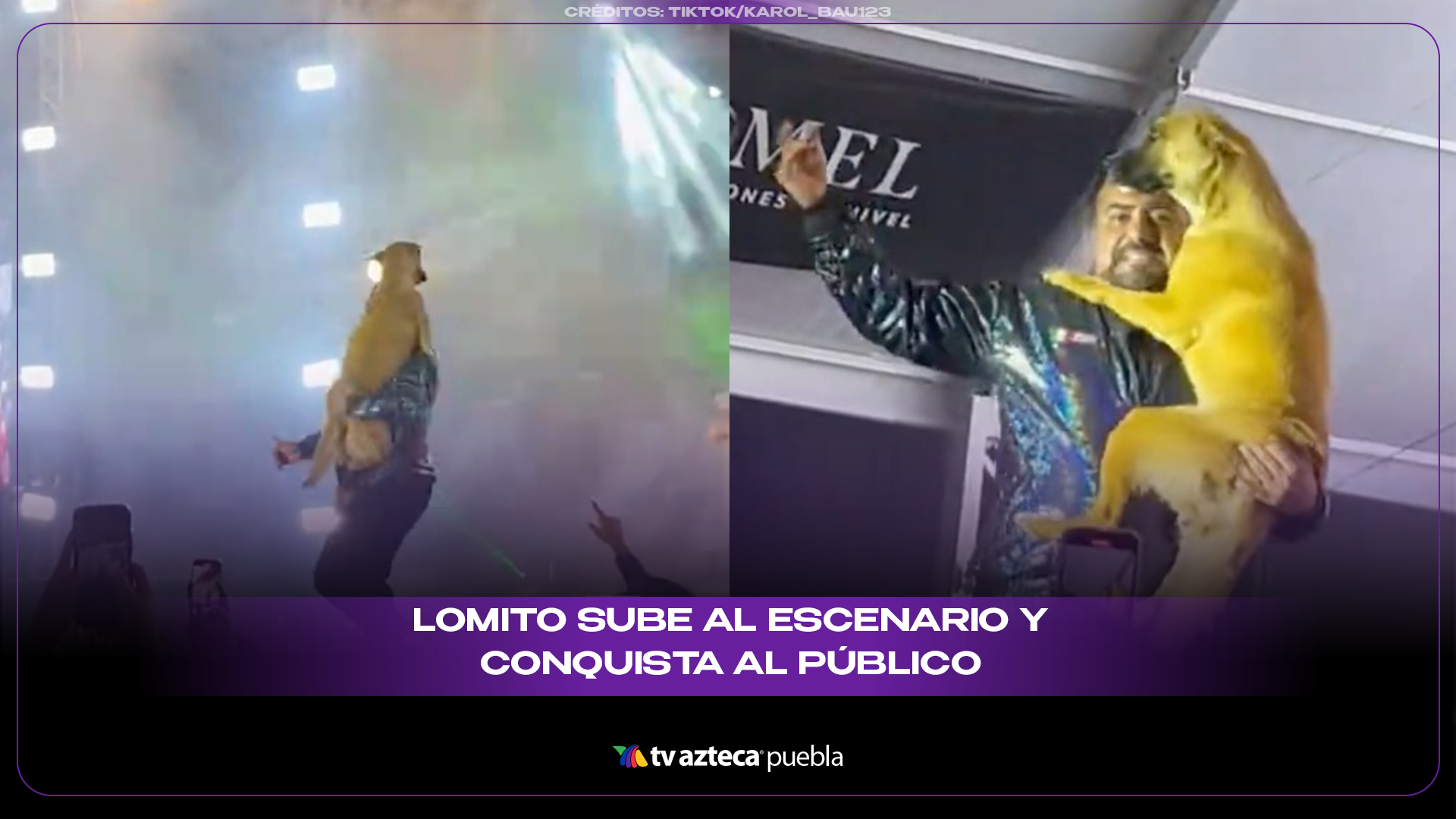 Lomito roba reflectores durante concierto de Trono de México