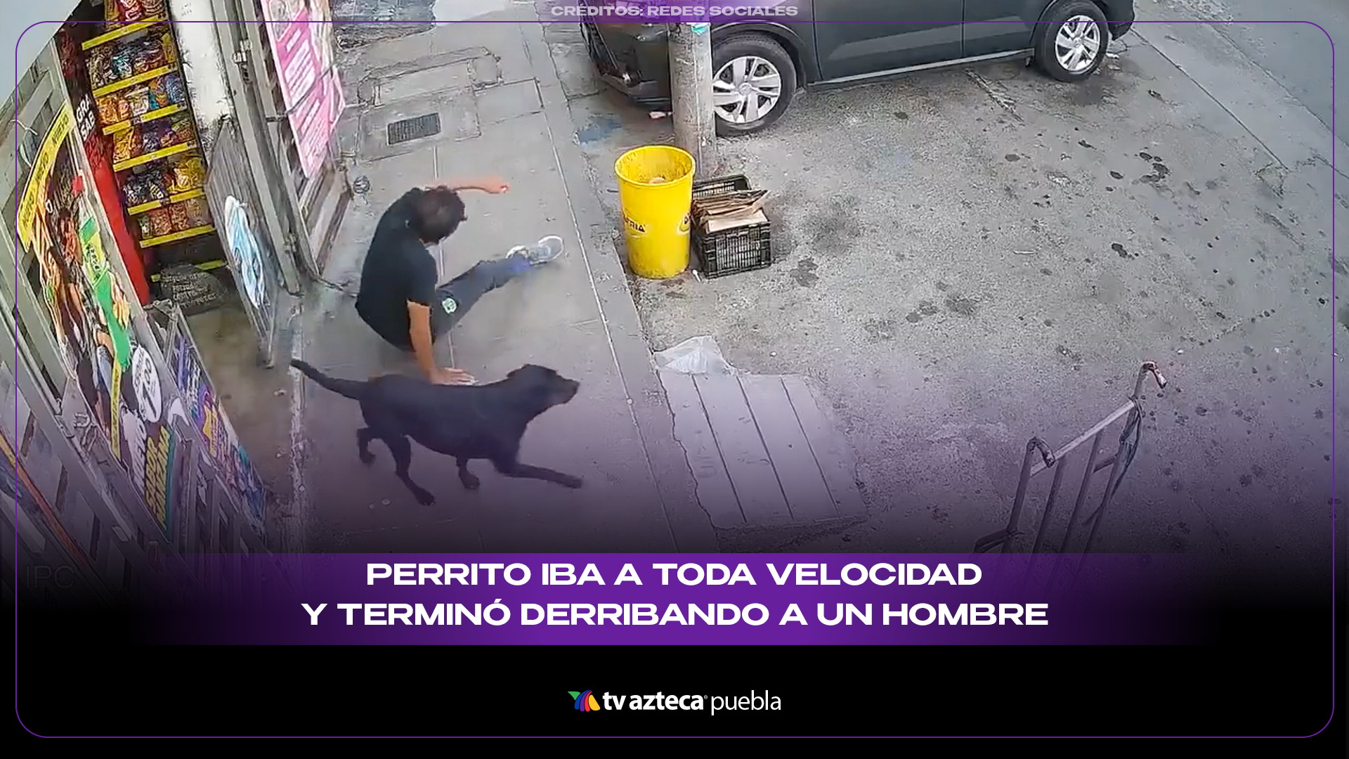 Perrito iba a toda velocidad y terminó derribando a un hombre frente a una tienda