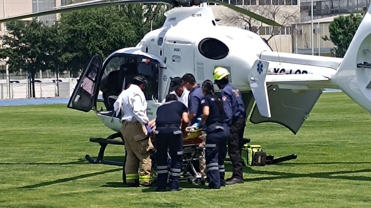 Ataque de abejas en Nuevo León deja un hombre sin vida y dos lesionados; así ocurrió