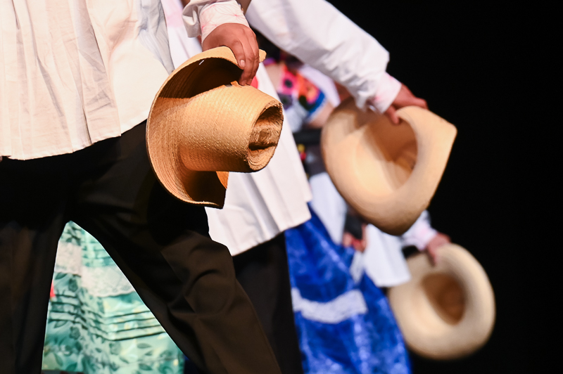 Danza Folklórica/danza_folklorica_085.jpg