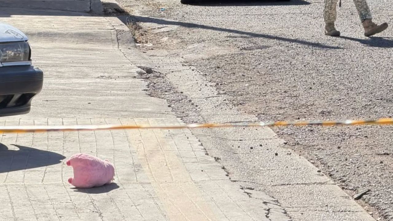 IMÁGENES FUERTES: ¿De qué trata el misterio del cerdito rosa?, símbolo que aparece junto a víctimas de homicidio en Culiacán