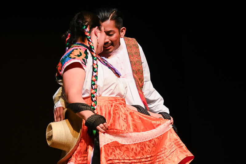 Danza Folklórica/danza_folklorica_008.jpg