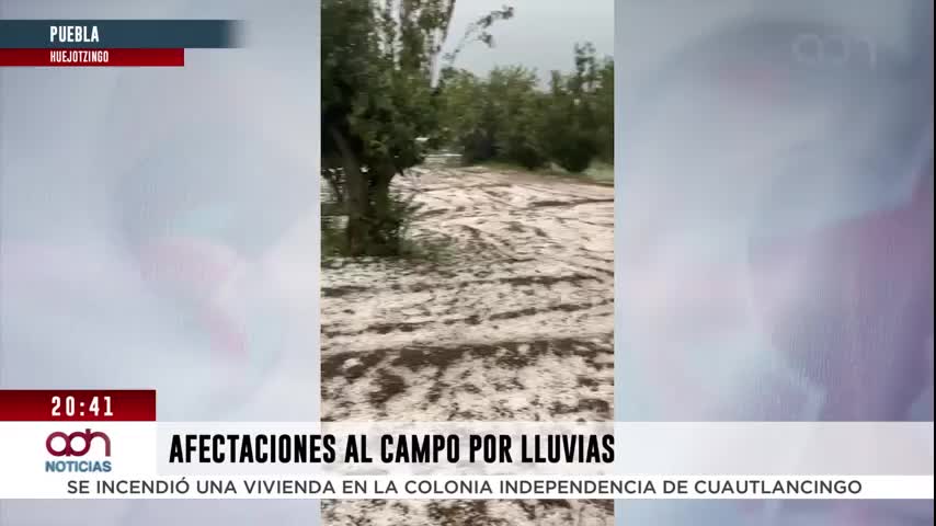 Productores reportan daños tras intensa lluvia en cultivos de Huejotzingo