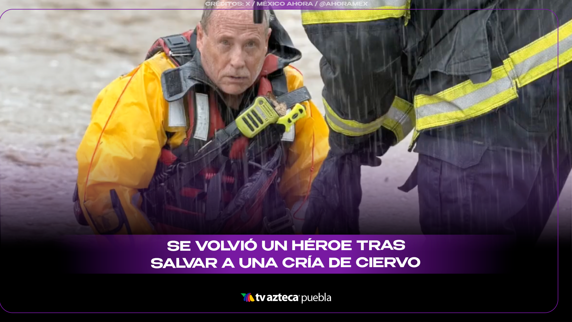 Bombero rescata a una cría de ciervo arrastrada por la corriente y conmueve a internet