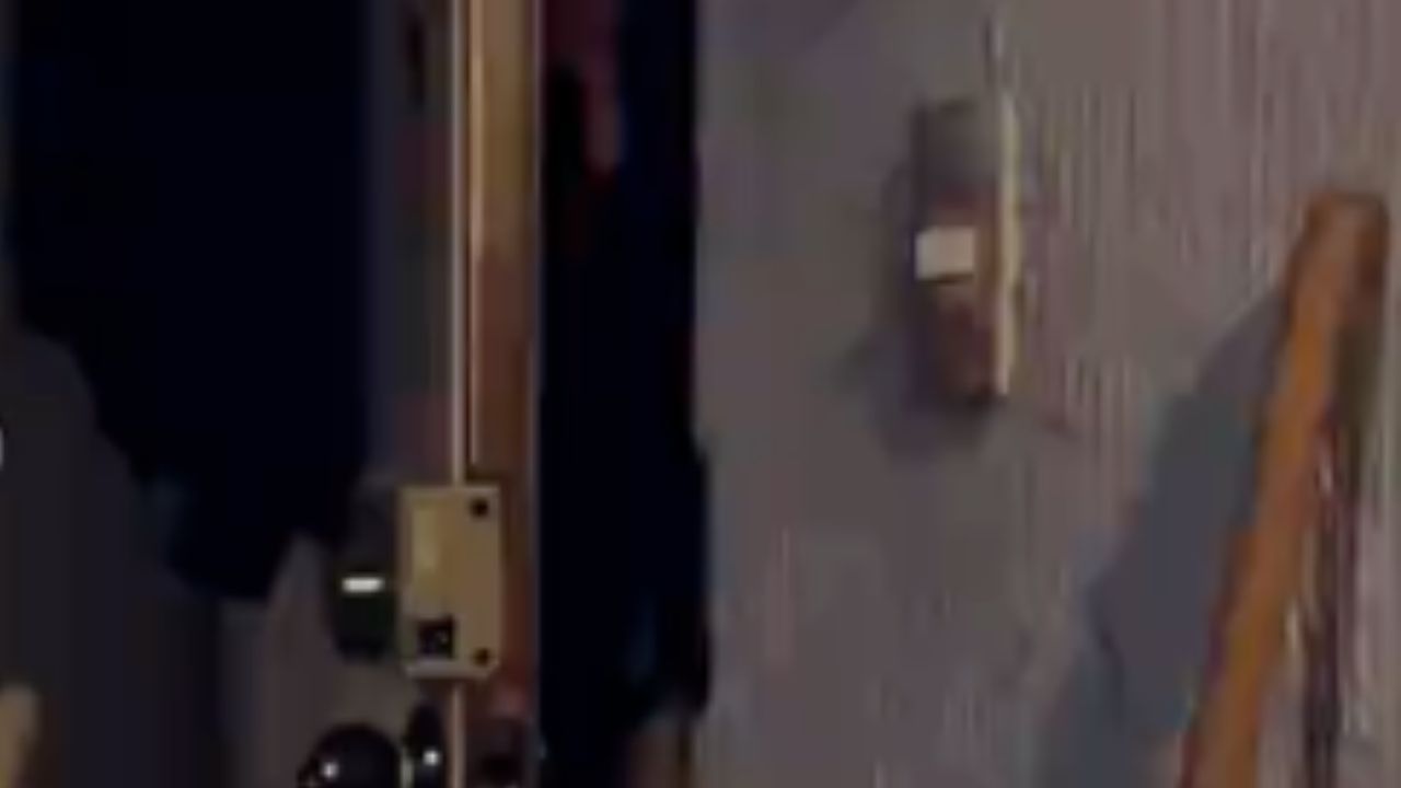 VIDEO FUERTE: Así una familia enfrentó a una presu