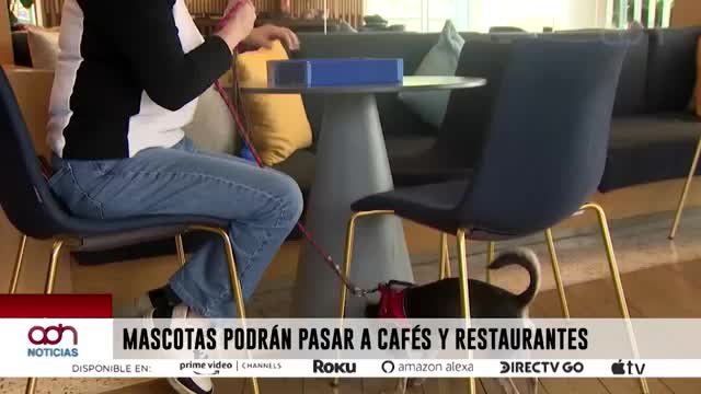 Aprobaron entrada de mascotas a restaurantes y cafés