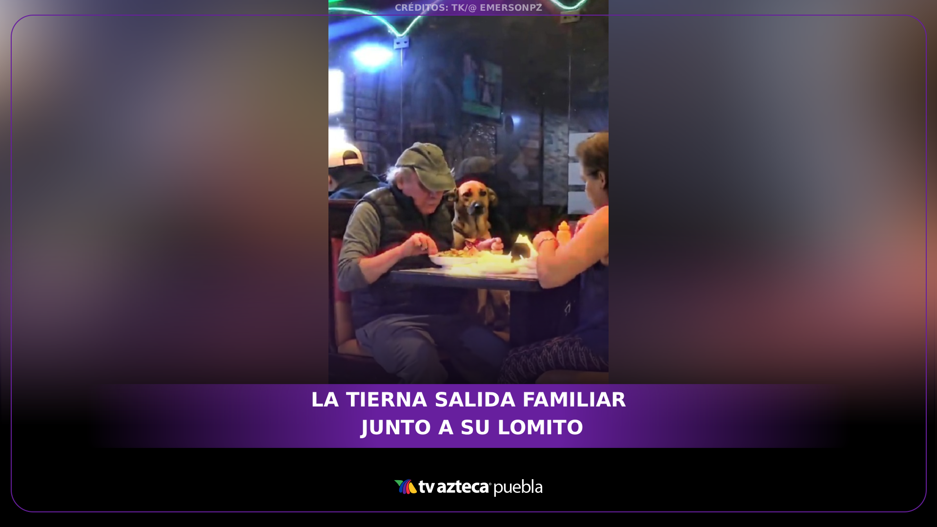 Lomito enternece redes durante salida familiar a un restaurante