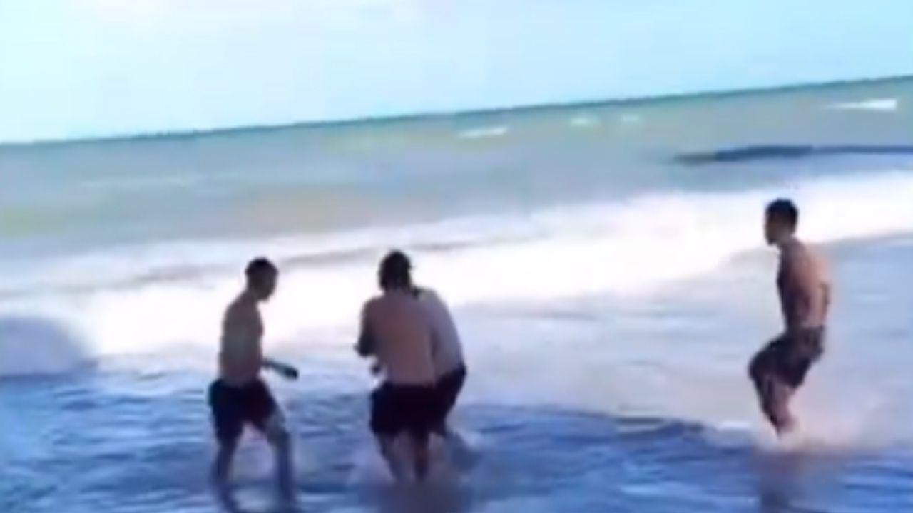 VIDEO FUERTE: Mujer pierde una pierna tras ataque de tiburón en playa de Brasil; así ocurrió