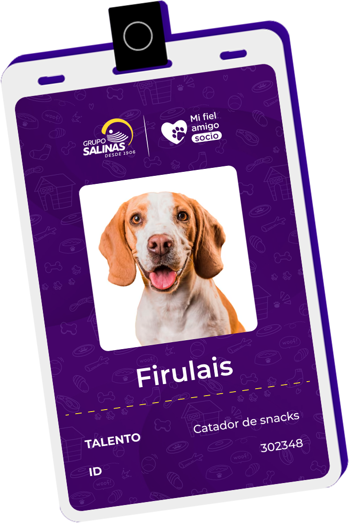 card Img