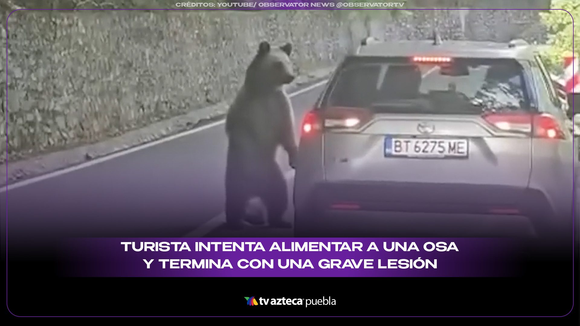Turista intenta alimentar a una osa y termina con una grave lesión