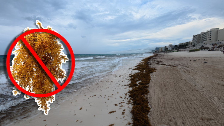 Estas son las playas sin sargazo en Cancún, Isla Mujeres, Holbox, Puerto Morelos, Playa del Carmen y Cozumel hoy 12 de septiembre de 2025.jpg