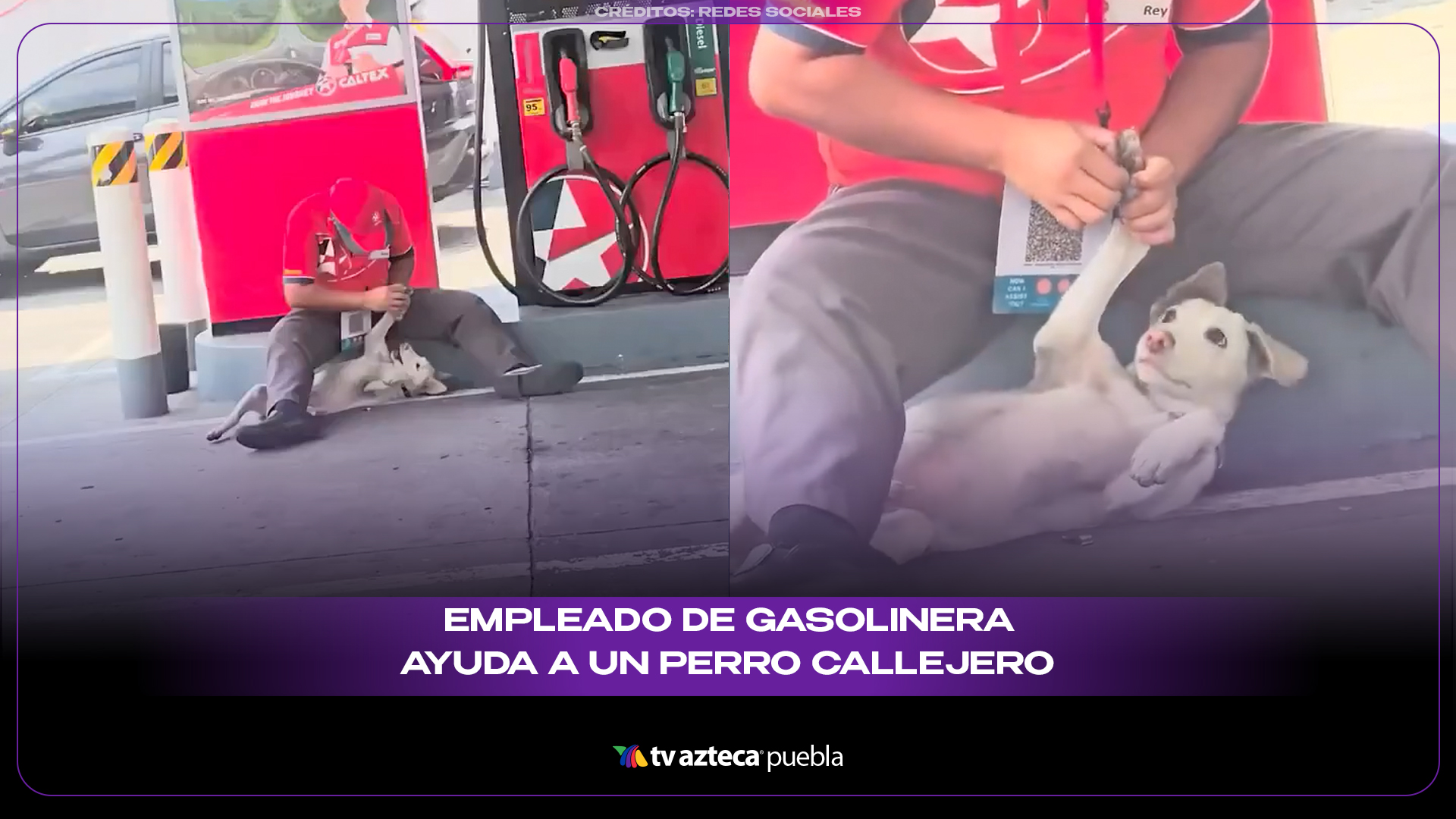 Empleado de gasolinera se gana los aplausos por ayudar a un perro callejero