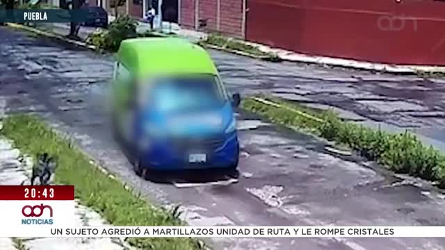 Perrito es arrollado en la colonia Aquiles Serdán