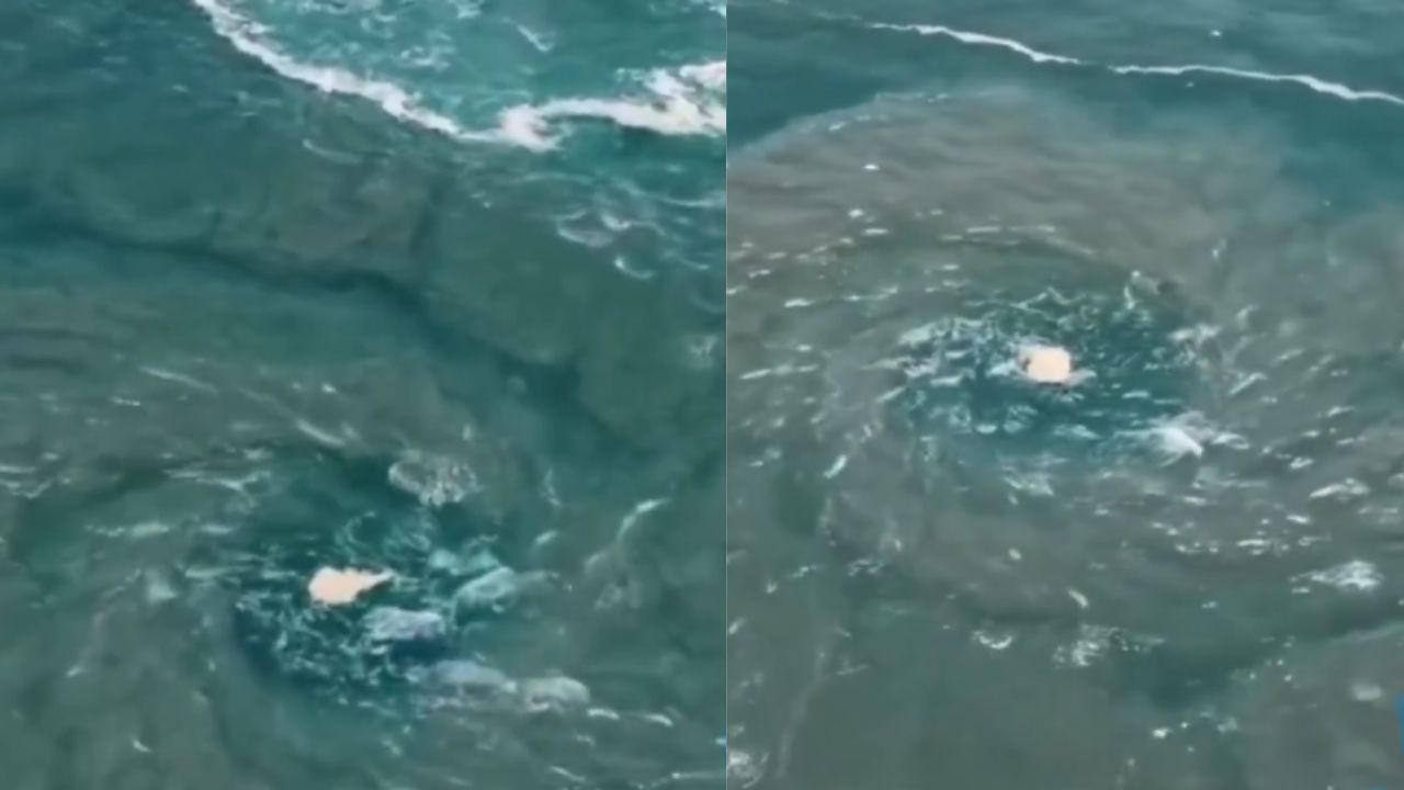 VIDEO: Impresionante VÓRTICE MARINO sorprende a turistas y h