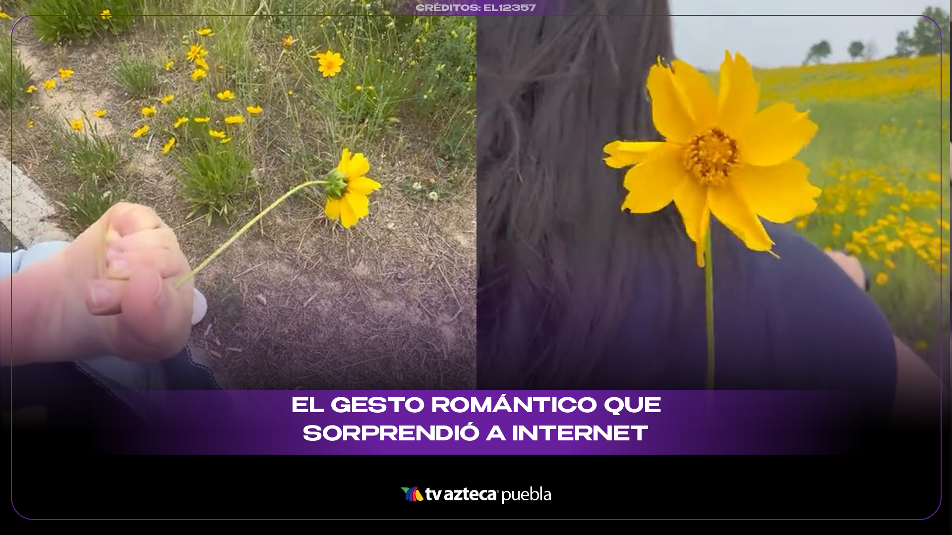 Pareja viral: mujer corta una flor con el pie y sorprende internet
