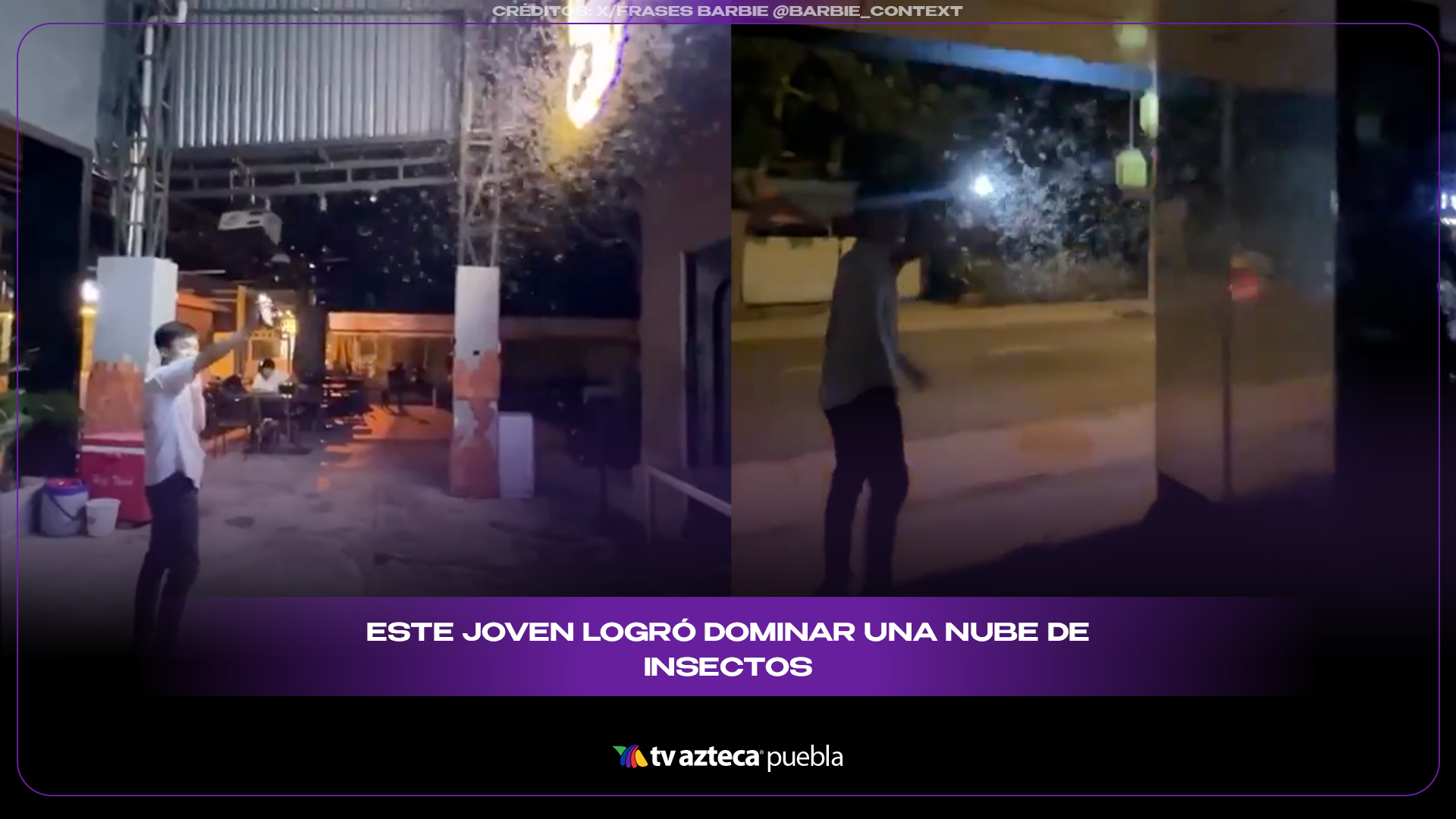 Joven controla nube de insectos con una simple linterna