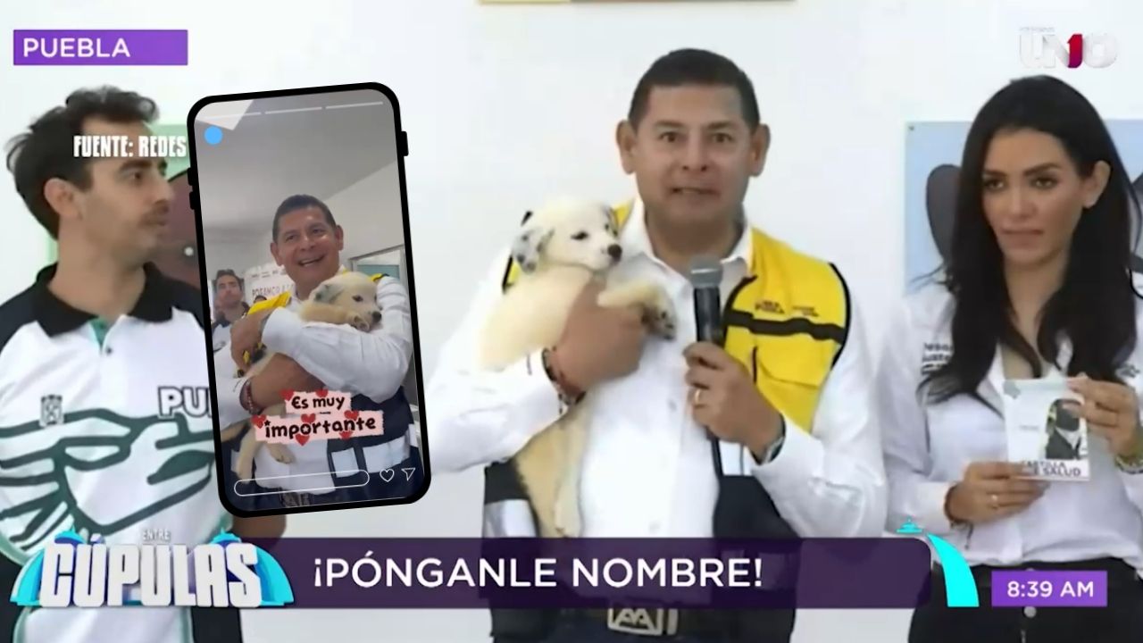 Sátira Cupulosa: ¿TRANSPARENCIA? ¿Resultados? El nuevo perrito de Alejandro Armenta ya tiene polémicas “propuestas de nombre”