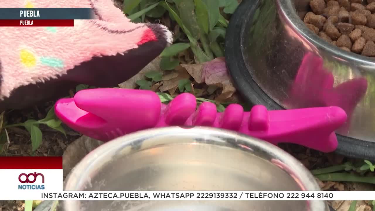 Se llevan a Moka en colonia El tamborcito